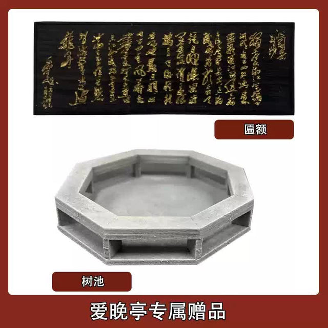 Ai Wan Ting Wooden Building 3D Puzzles Mortise and Tenon DIY Model Kit