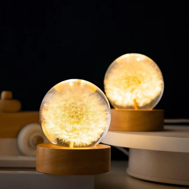 Flower Crystal Night Light Preserved Flower LED Light Dandelion Glass Ball Lamp