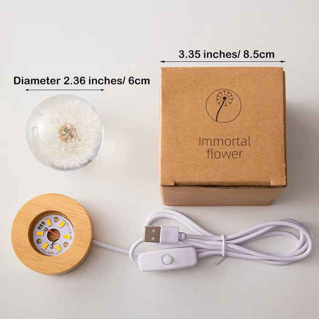 Flower Crystal Night Light Preserved Flower LED Light Dandelion Glass Ball Lamp
