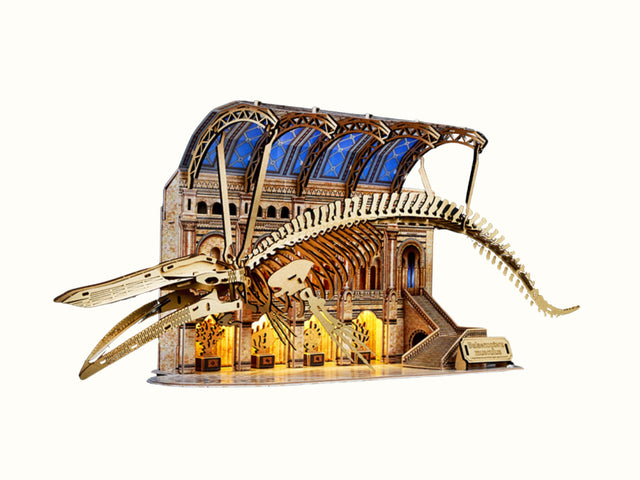 3D Wooden Puzzle Mechanical Natural Blue Whale Museum with Light Model Kit