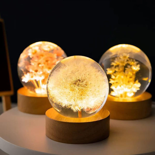 Flower Crystal Night Light Preserved Flower LED Light Dandelion Glass Ball Lamp