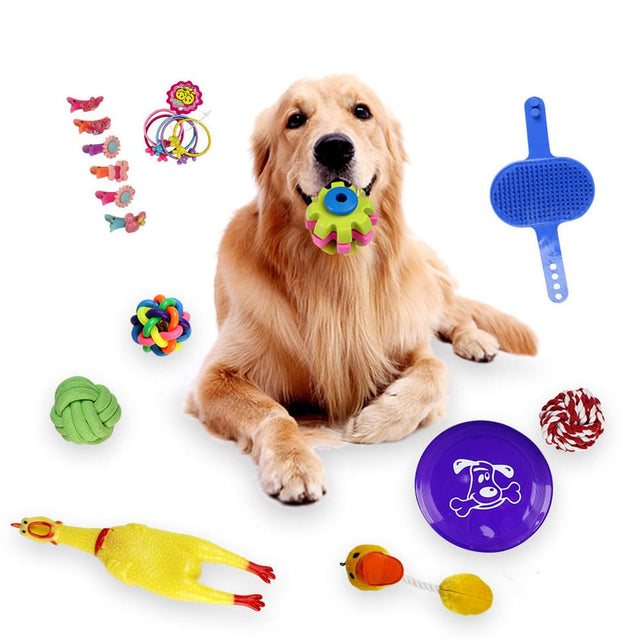 Pet Toys