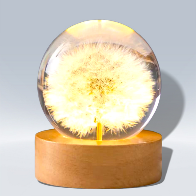 Flower Crystal Night Light Preserved Flower LED Light Dandelion Glass Ball Lamp